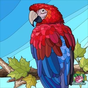 Meet your Posher, Diana